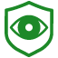 Vision icon
